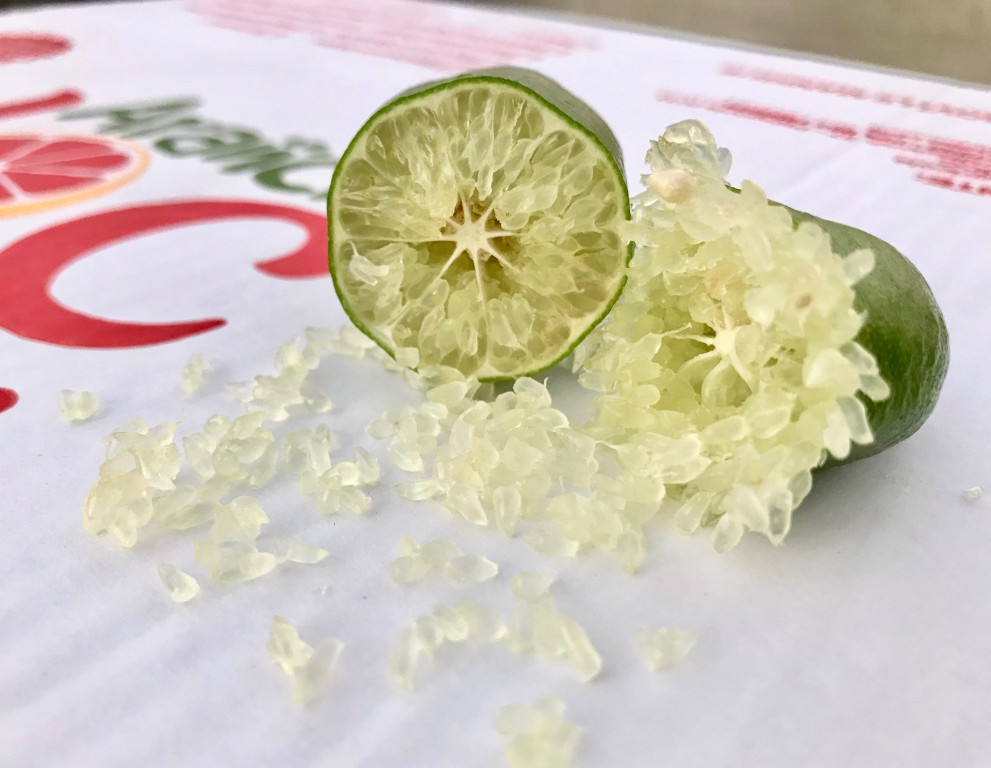 Citron vert sicilien - CACOPARDO